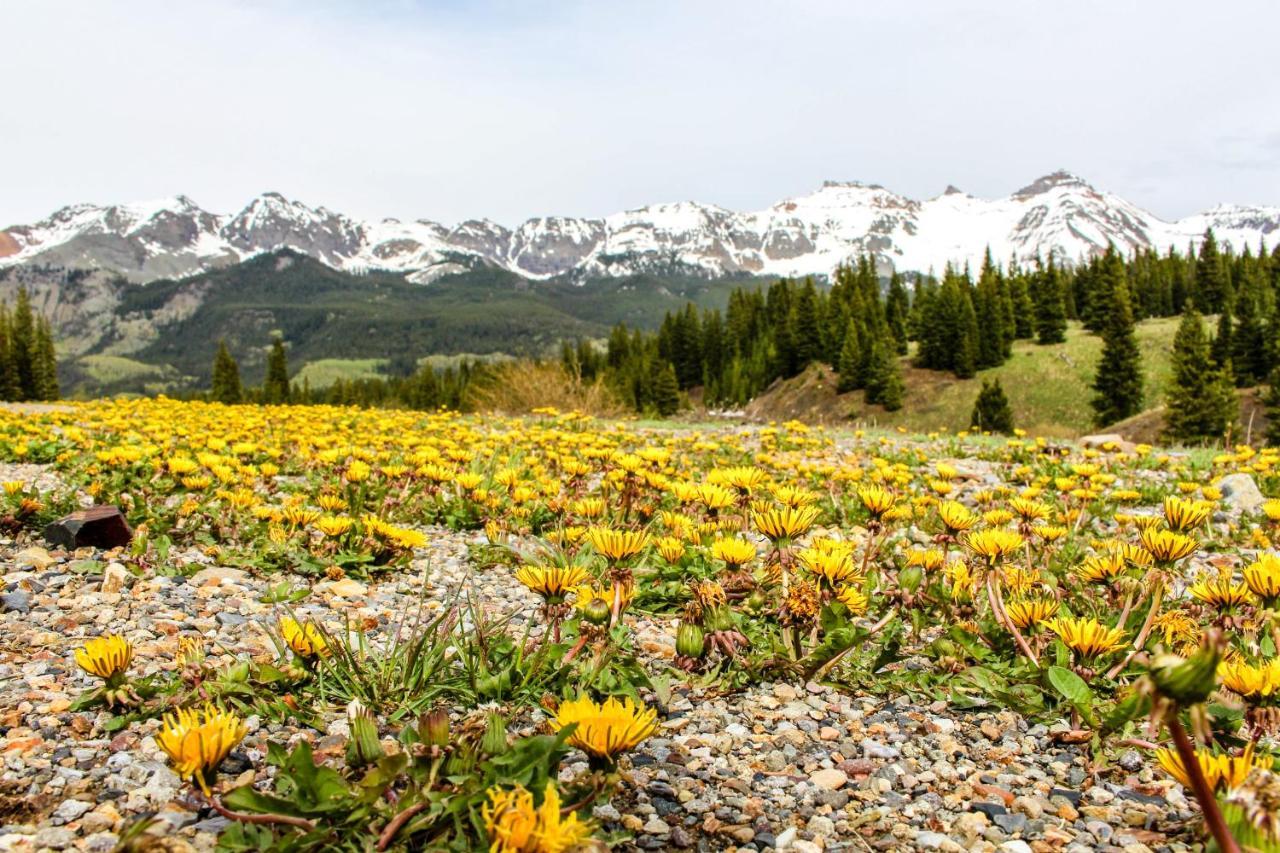 Telluride Town Jewel 아파트 외부 사진